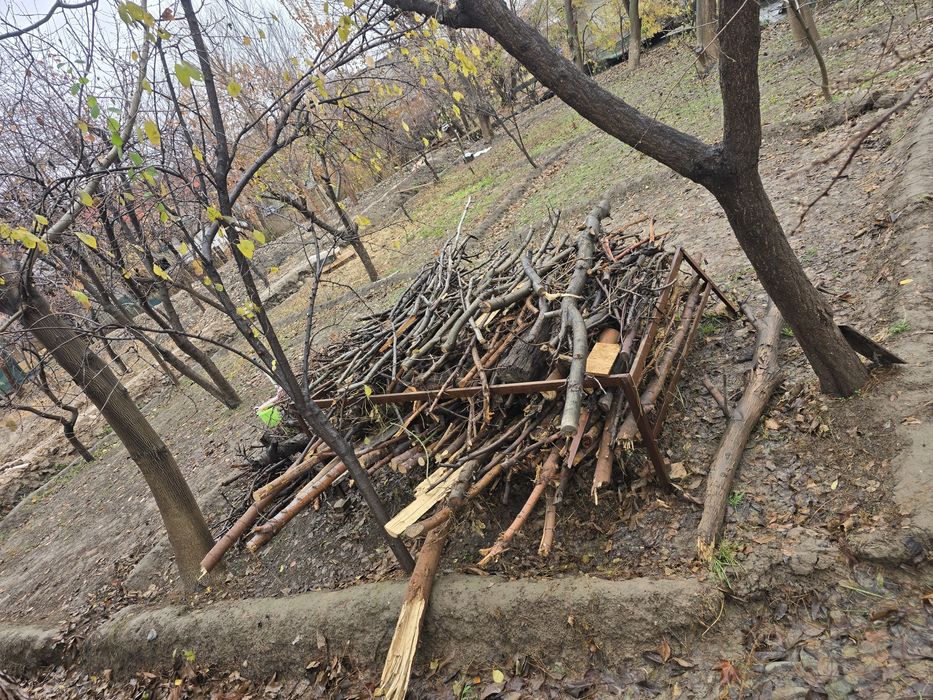 Oʻtin  otin drova утин удин отин дрова