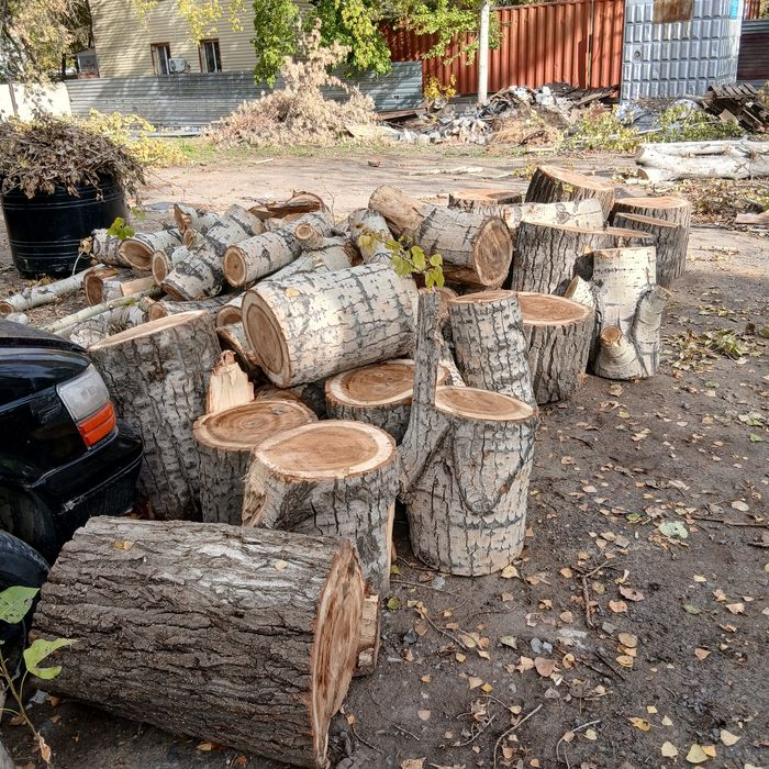Дрова самовывоз тополь