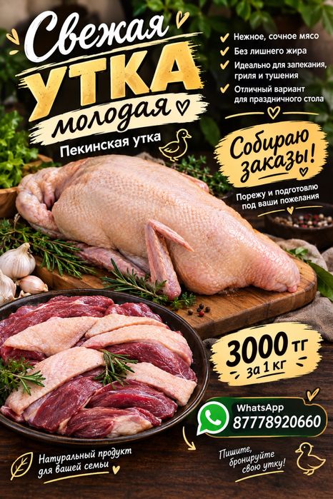 Продам утку мололая
