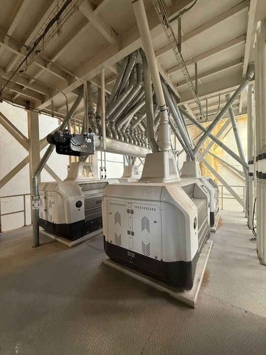 Tayyor biznes kunlik 120 to'nnalik tegirmon xoroz sotiladi