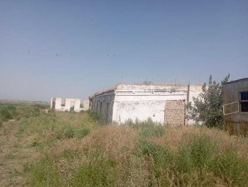 Bino-inshoat (Chorvachilik fermasi)