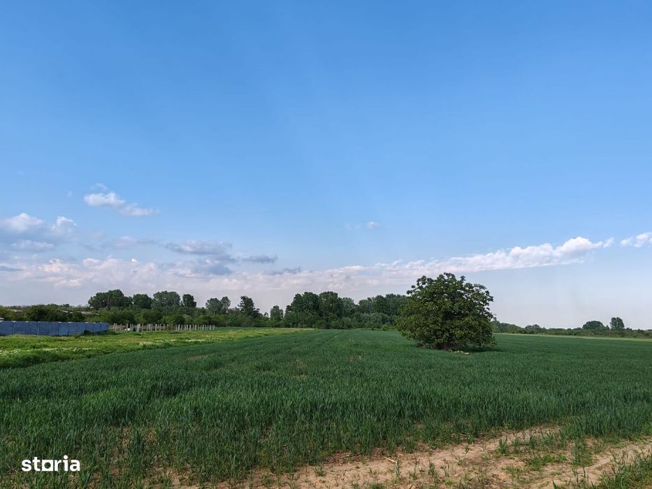 Teren de vânzare 9.200 mp  Deschidere 29 ml  Clinceni, Str. Vulturului