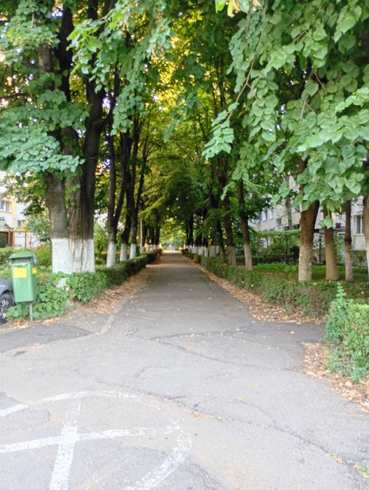 Apartament 2 camere Nord