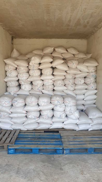 Vand ovaz productie 2025