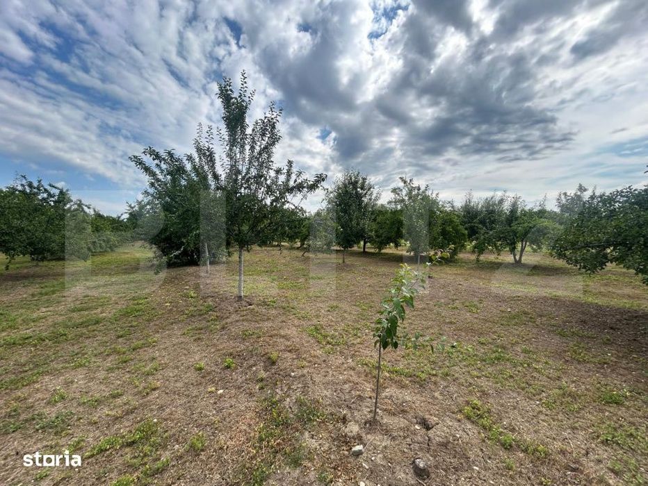 Teren | Crangurile De Jos | 6796 Mp | Intravilan |