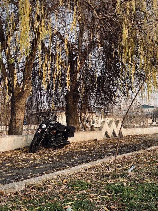 Cyclone 600ra Bobber 2025 yil