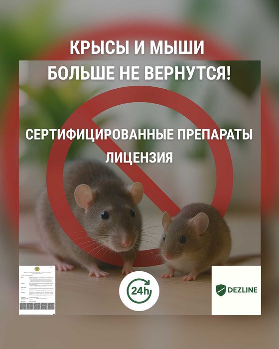 Уничтожение крыс / мышей / Дератизация от грызунов