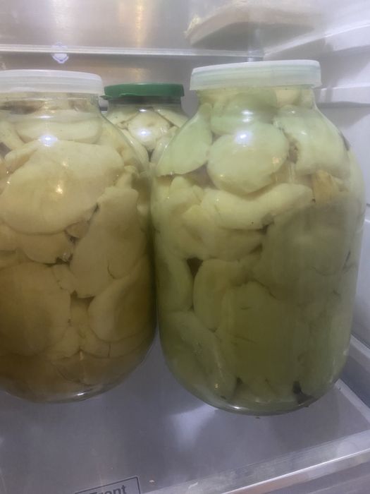 Продам грибы грузди