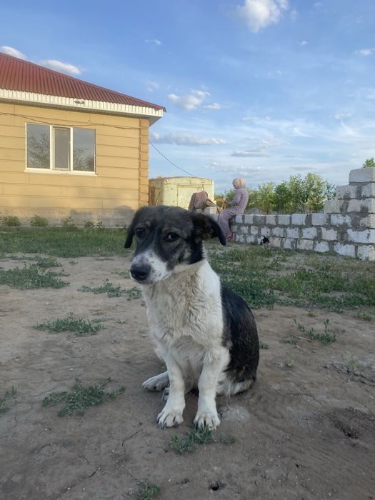кандин девочка .