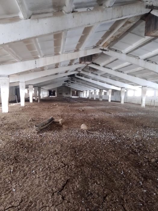 Продам базу рядом с Хоргосом