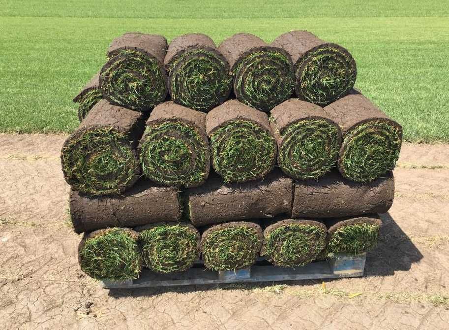 Soluții Complete: Gazon, Irigare, Montaj