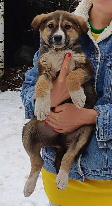 Милый мальчуган.