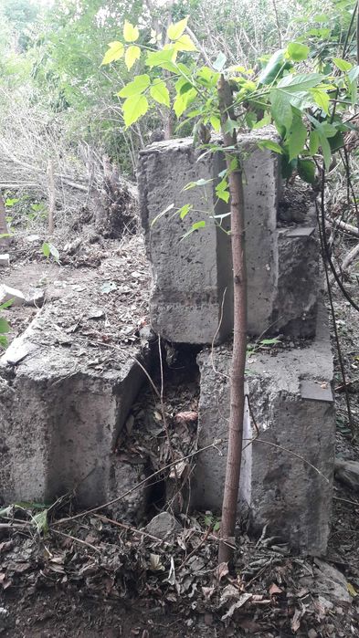 Ригеля       жби