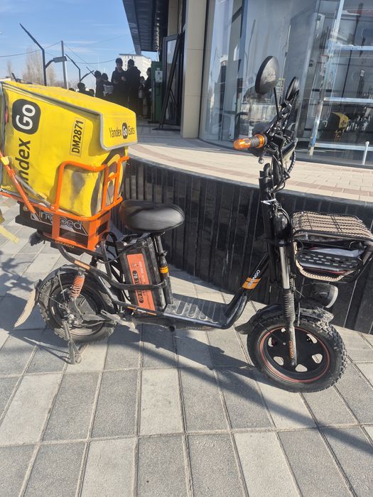 Drongo skuter sotiladi