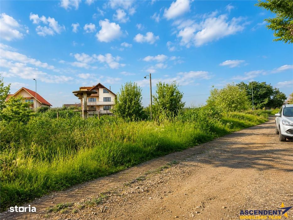 Teren intravilan 10.000 mp, parcelabil, plan, acces asfaltat, Bod, Bra