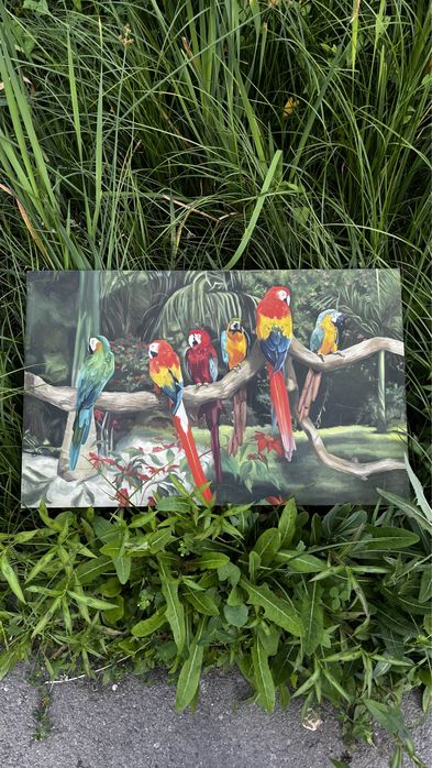 Картина „попугаи“ и „в траве“