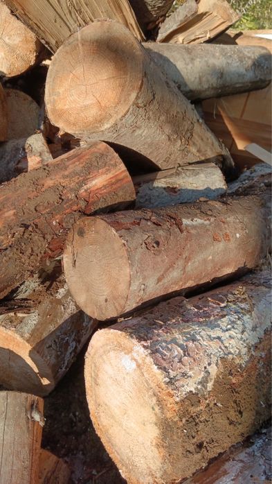 Vand lemne brad uscate si fag/ofer transport