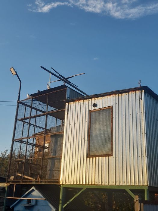 Продам голубятник