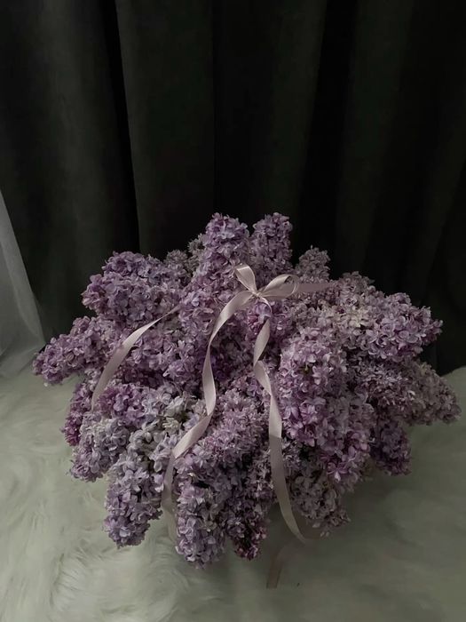 Сирень букет/корзина