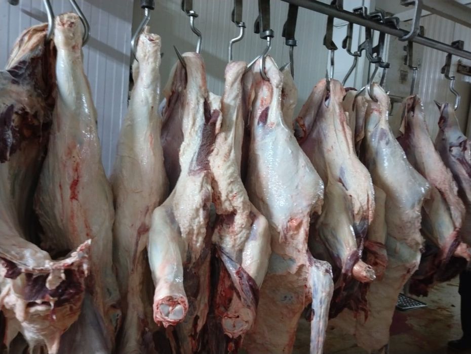 Goʻsht biznesiga investor kerak