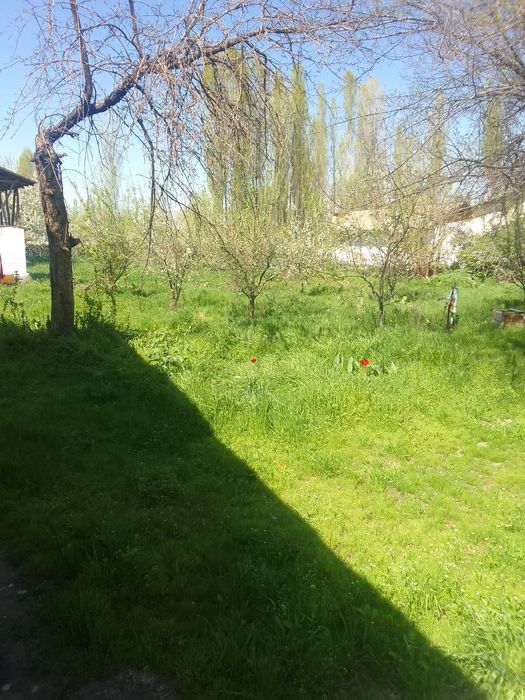 Yer sotiladi 5 sotik