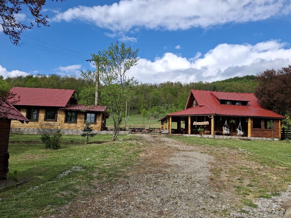 Cabane de închiriat