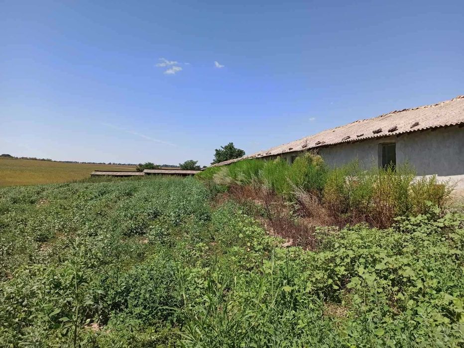 Продава се Земеделски имот в с. Къпиново, Област Добрич -  кв.м за 3296 €/дка - Снимка #11