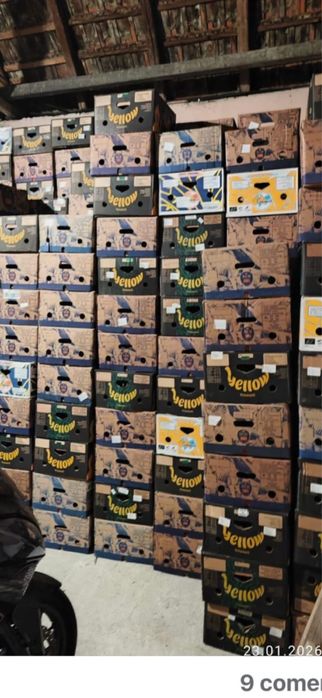 Vand baxuri noi de banane