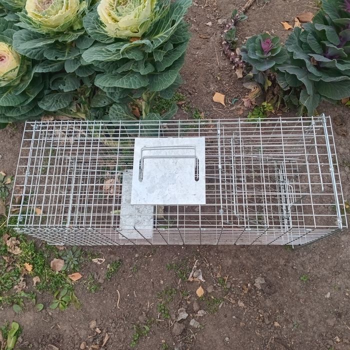 Продам кошколовку