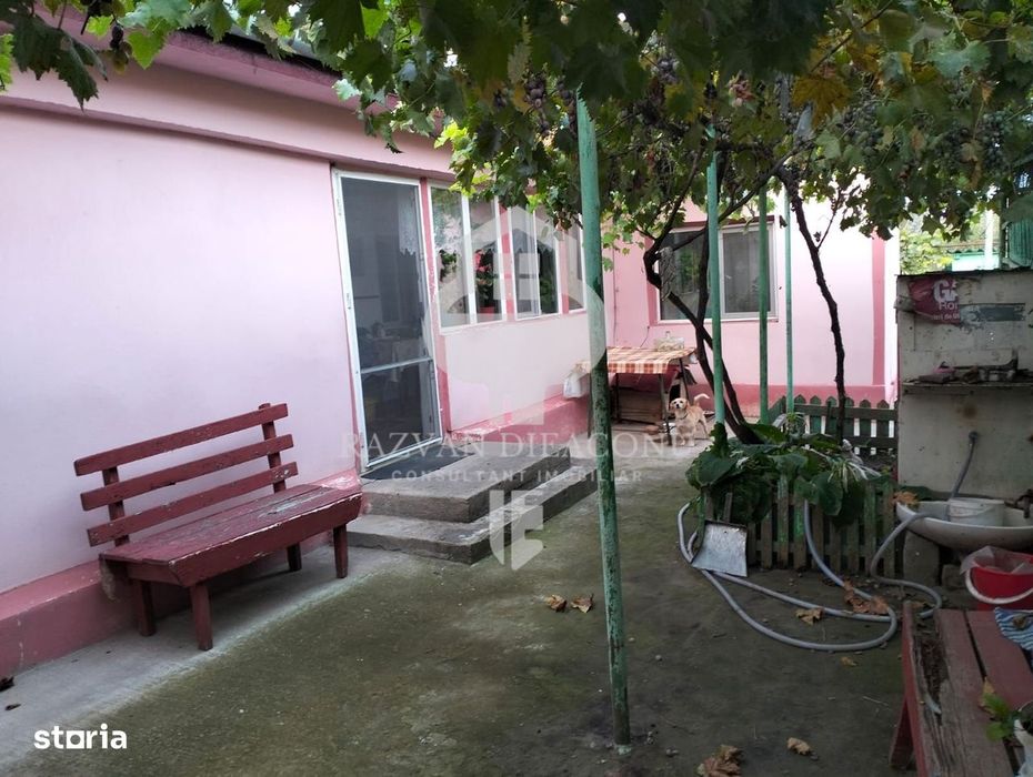 Casa de vanzare Lumina