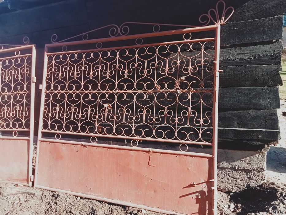 Porți metalice intrare