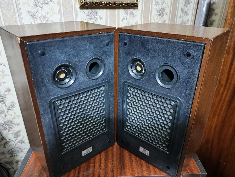 Колонки 10АС-9 (аналог S30)