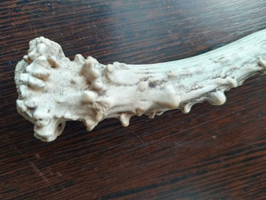 заготовка для ручки или сувенир