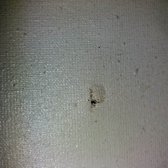 Pictura pe pânză 2m×1.5m