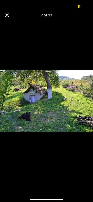 Vand teren cu casa veche in Lopadea Noua