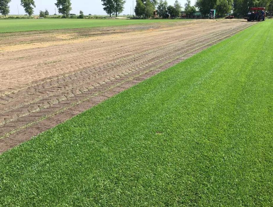 Soluții Complete: Gazon, Irigare, Montaj