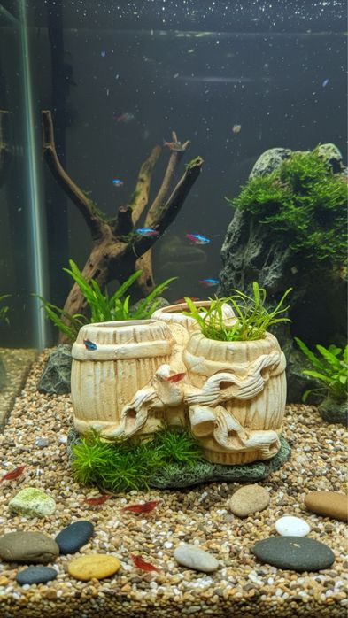 Новый Декор для аквариума
