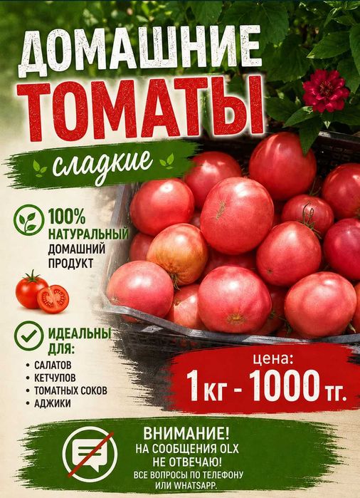 Домашние помидоры, сладкие