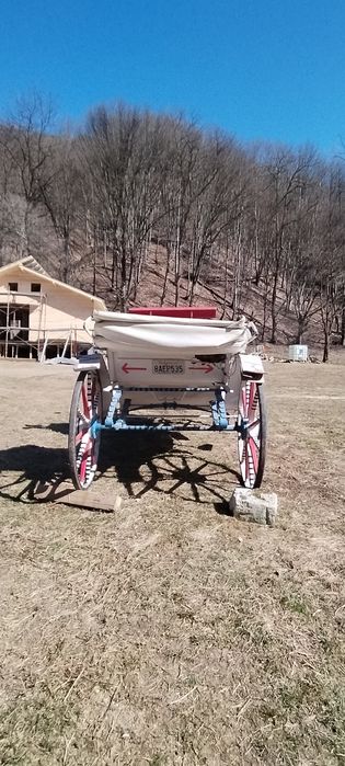 Vând trăsură fabricata în Ungaria