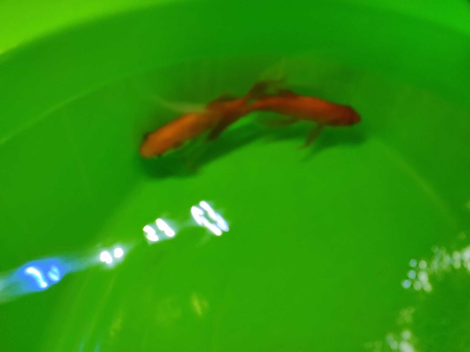 Продаются аквариумные аксессуары