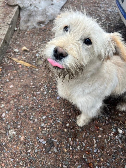 Ищем домик малышу