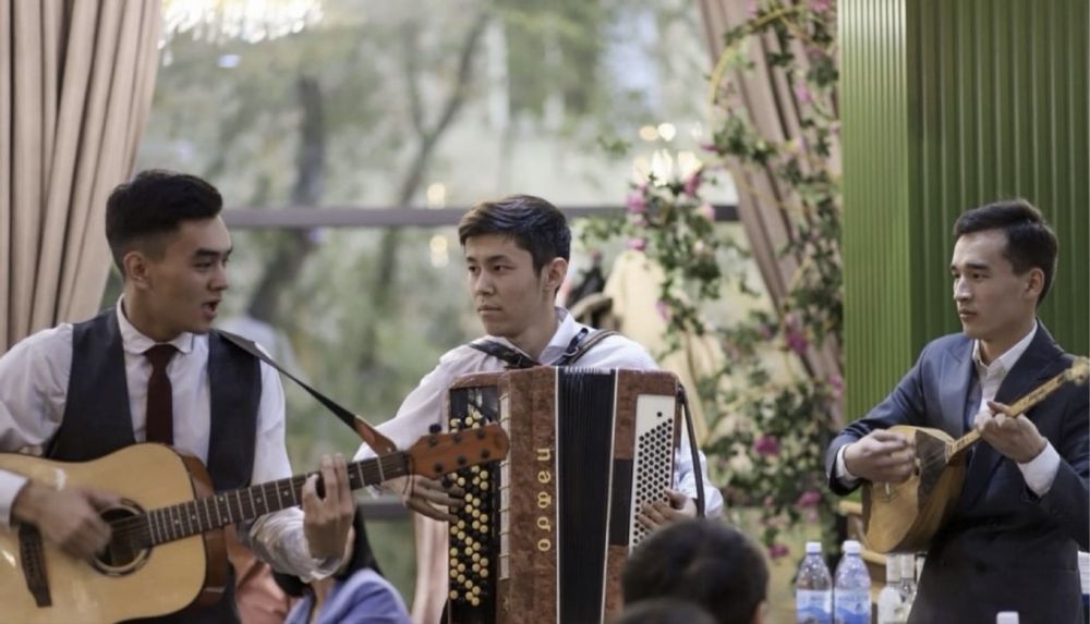 Баян Домбыра Гитара Музыканты