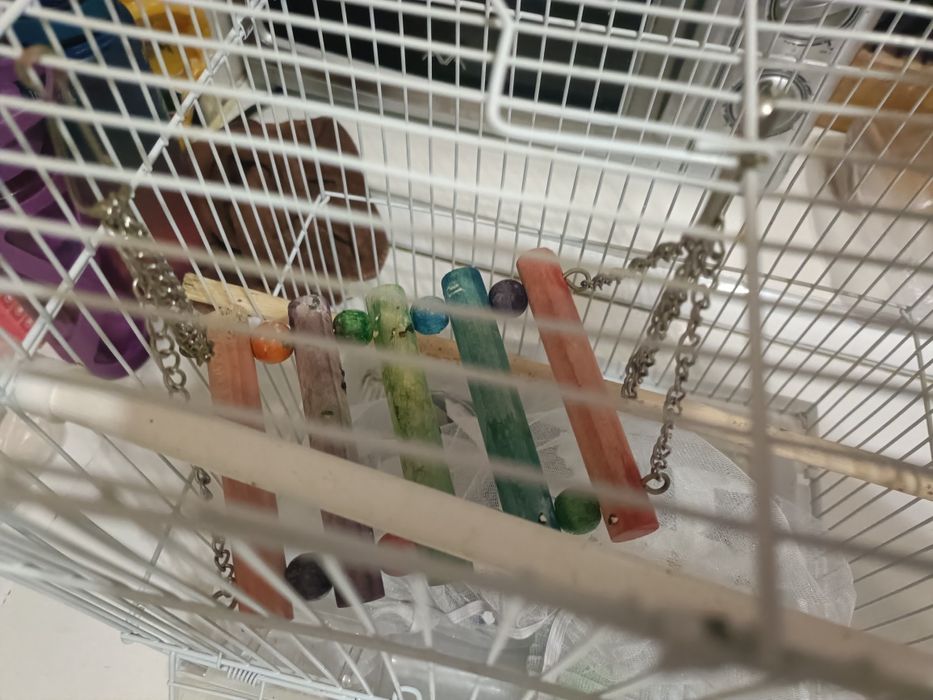 Клетки для птиц (попугай)