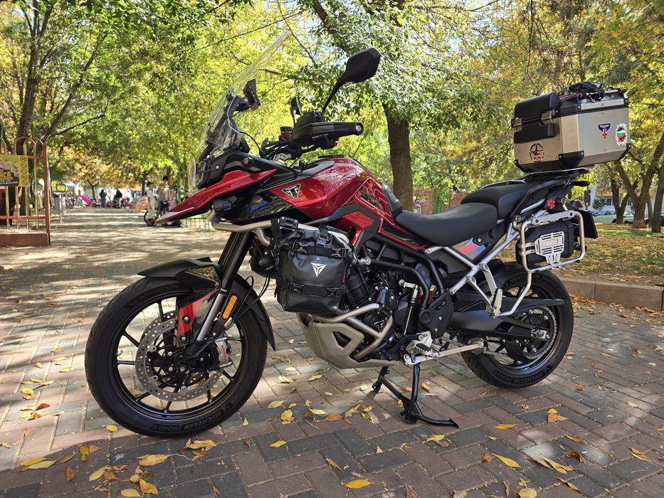 Triumph Tiger 900 GT Pro 2025