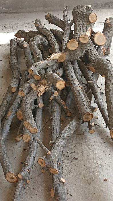 Продам дуб дерево