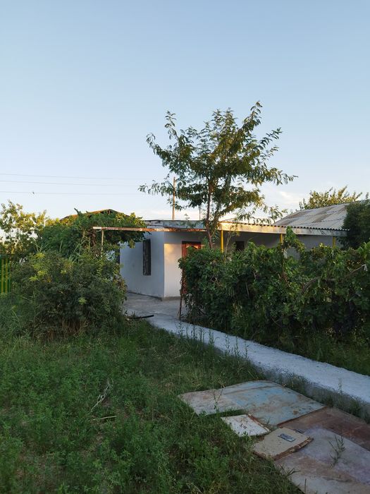 Dacha sotiladi 6 sotik