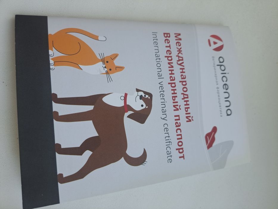 Авчарка күшік сатамын  ұрғашы