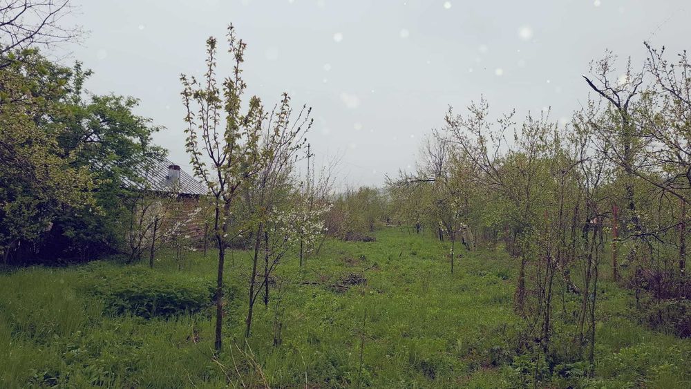 vand teren intravilan 3065 mp f aproape de Valenii de munte