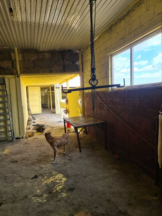 Откормочная база