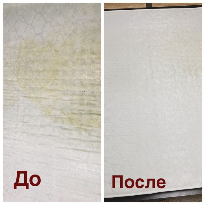 Моющий пылесос. Пароочиститель KARCHER